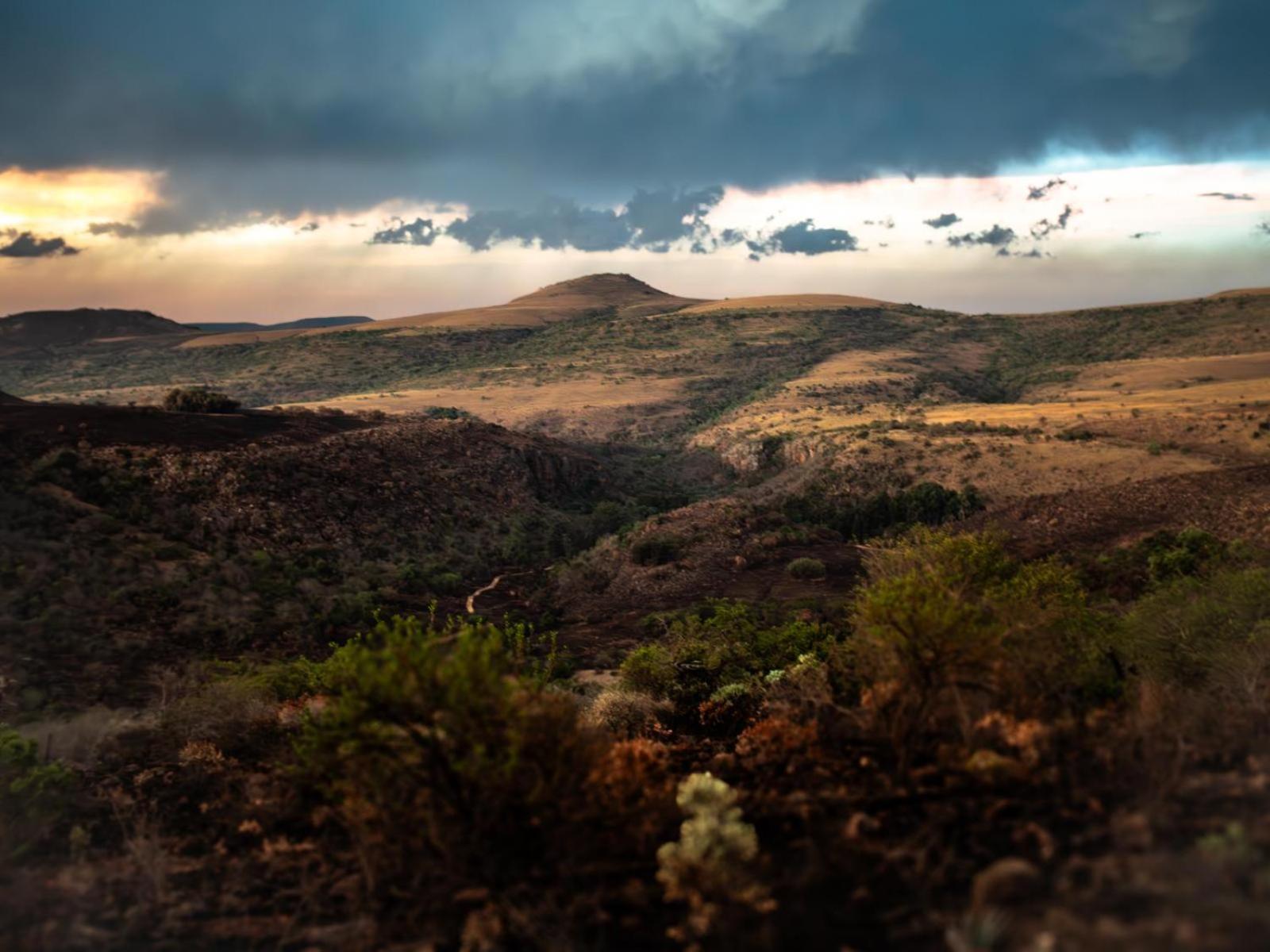 Riverbed Africa Lydenburg Szoba fotó