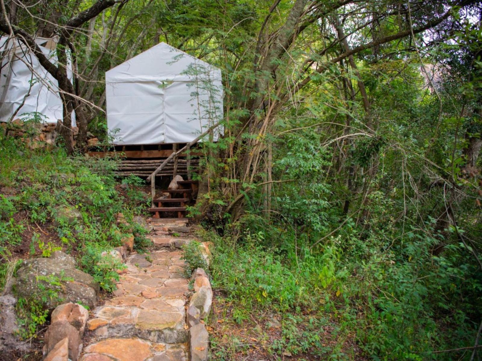 Riverbed Africa Lydenburg Kültér fotó