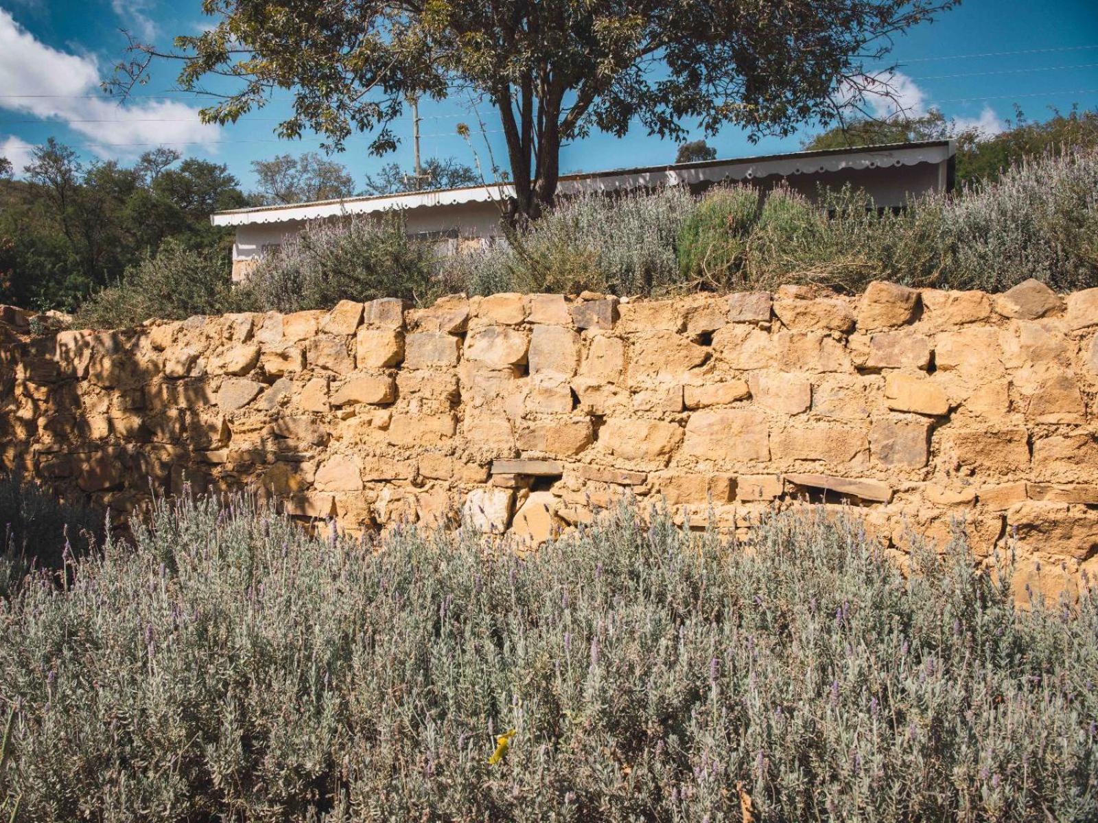 Riverbed Africa Lydenburg Kültér fotó